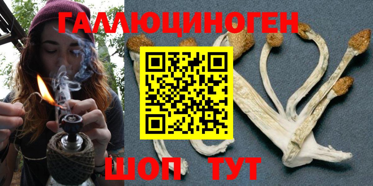 магазин    Вход с VPN  Щёлково  Галлюциногенные грибы Psilocybe 